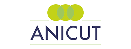 Anicut logo